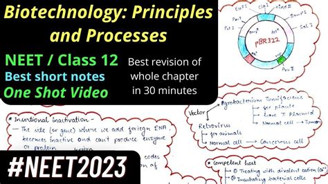 Biotechnology Principles And Processes Mind Map NEET Class 12 One Shot