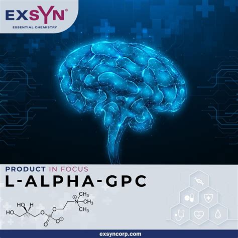 In Focus L Alpha Glycerylphosphorylcholine Alpha Gpc Exsyn