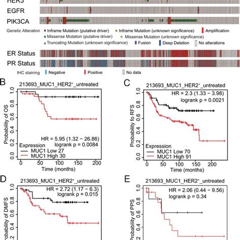 Muc Cd Triggers Metabolic Gene Reprogramming A Volcano Plot Showing