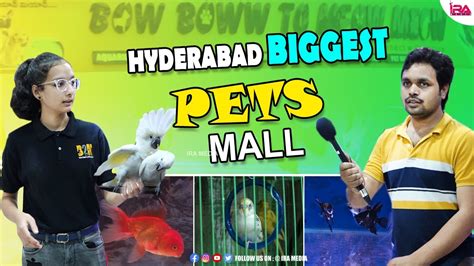 Best Quality Birds Shop In Hyderabad Bow Bow To Meow Meow Fish Shop