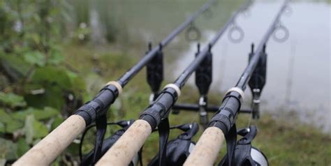 6 Best Carp Fishing Rods Carp Rods Reviewed