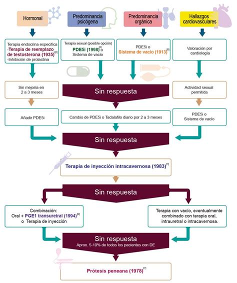 Mapa Conceptual De Indicadores De Uso Frecuente En Salud Mapa Hot Sex