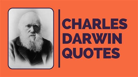 Charles Darwin Quotes From Letters And Books