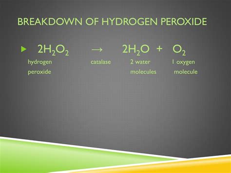 Ppt Peroxisomes Powerpoint Presentation Free Download Id4802394