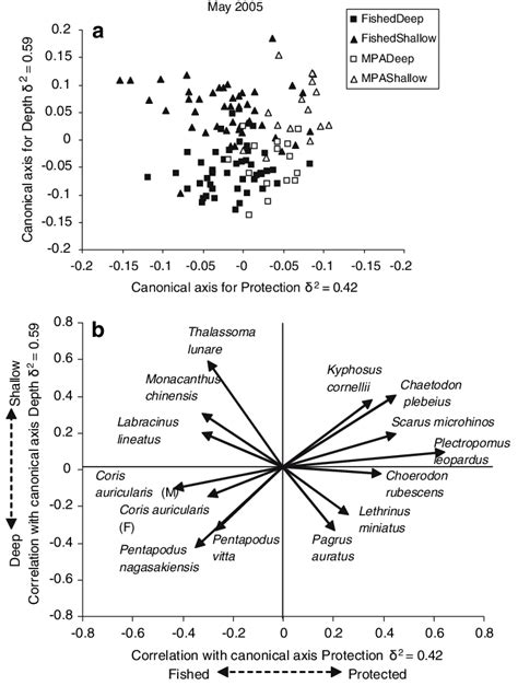 Canonical Analysis Of Principal Coordinates Cap Ordination For Download Scientific Diagram