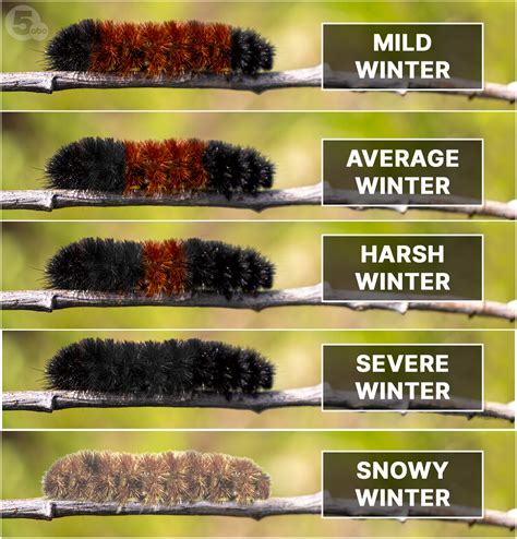 Meteorologists debate if you should search past weather conditions 4