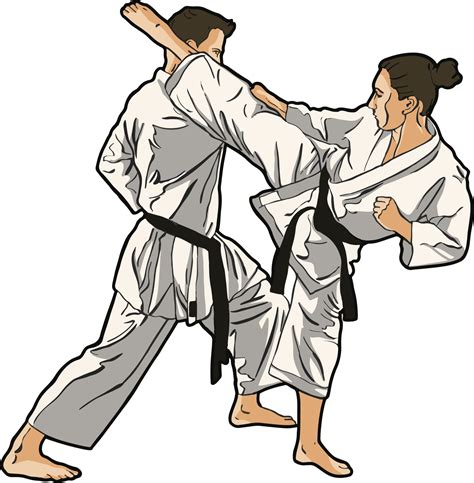 karate fight training 10096126 Vector Art at Vecteezy