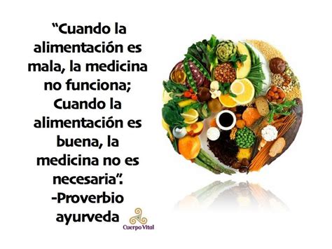 La Alimentacion Frases De Nutrici N Alimentaci N Consciente Nutrici N