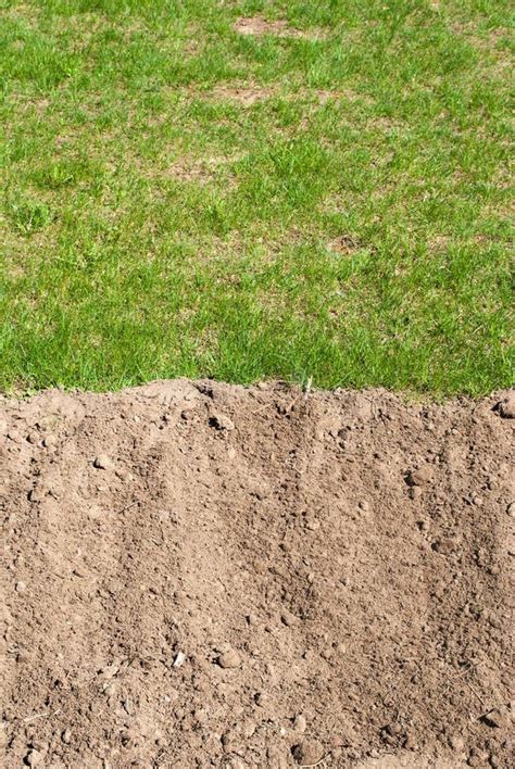 Ground And Grass Half Stock Image Image Of Garden Agriculture 41236639