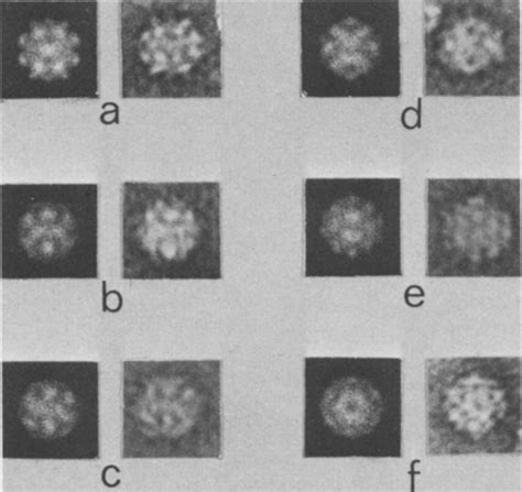 Comparison Of Projections In Different Directions Of The Download