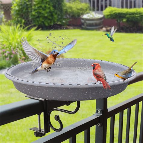 10 Best Bluejay Bird Baths for Your Garden - Hummingbirds Plus