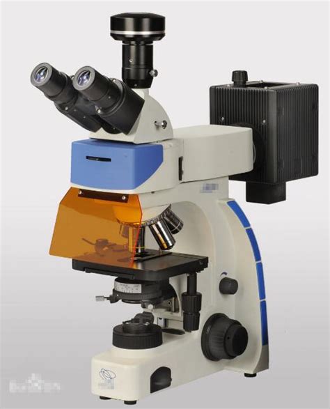 荧光显微镜荧光显微镜原理安装介绍使用说明等维库仪器仪表网