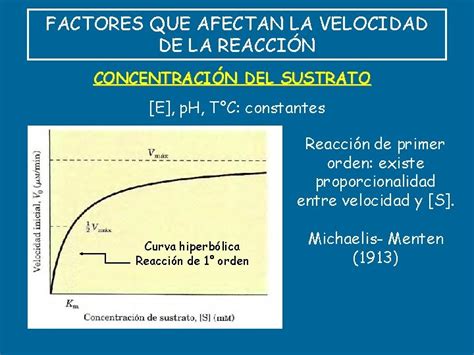 Factores Que Afectan La Velocidad De La Reaccin