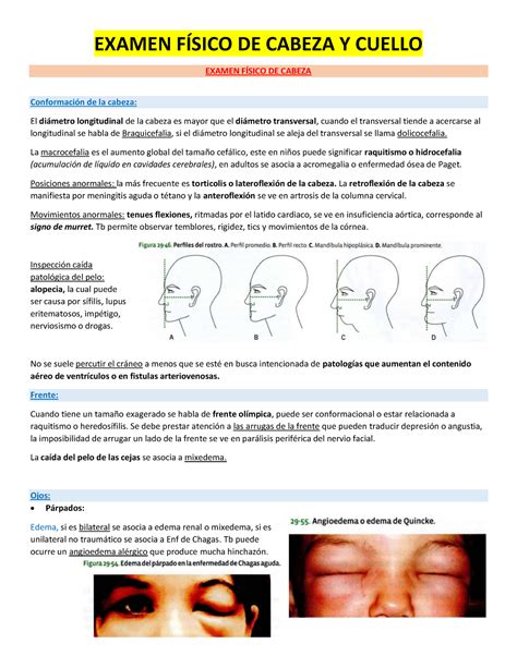 Examen Fisico De Cabeza Y Cuello SmartforLifeReviews