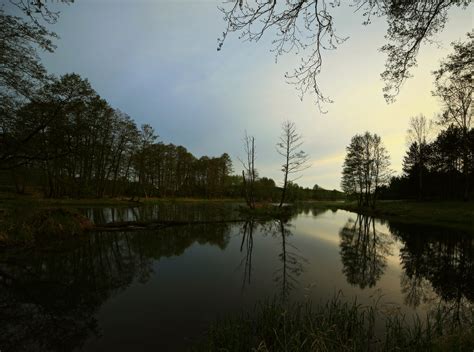 Wallpaper Morning Trees Lake Water Sunrise Canon Landscape