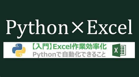 【excel×python操作】エクセル作業で自動化できること徹底解説・業務効率化入門 Dxcel Wave