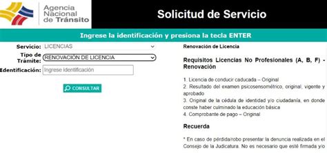 Turno Para Renovar La Licencia De Conducir Ant