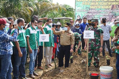 Al Haris Dorong Porang Jadi Komoditi Unggulan