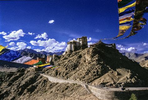 Namgyal Monastery, Mcleodganj: How To Reach, Best Time & Tips