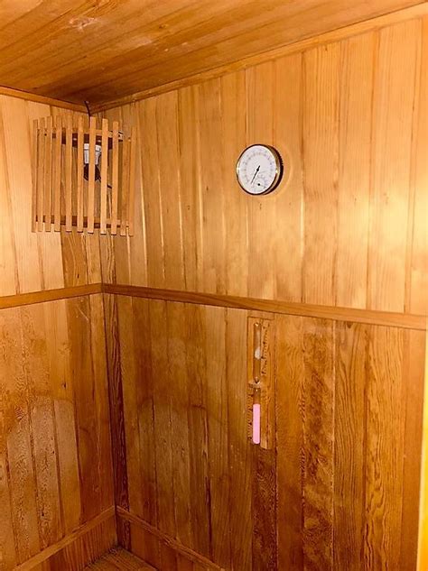 Sauna Electrique Canton Vaud Anibis Ch