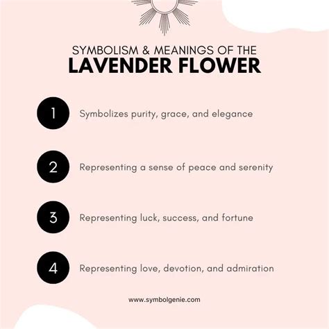 Lavender Flower: Symbolism, Meanings, and History - Symbol Genie