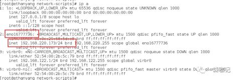 Vmware虚拟机配置rac环境：一块网卡如何配置多个ip？ 墨天轮