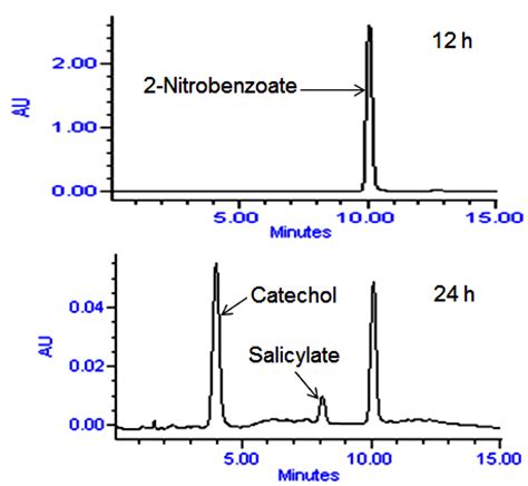 High Performance Liquid Chromatography Hplc Elution Profiles Of The