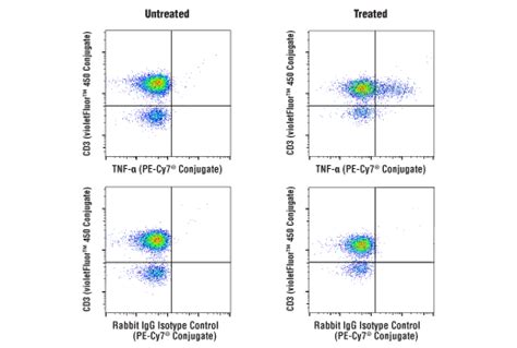 Tnf D G Rabbit Mab Pe Cy Conjugate Cell Signaling Technology