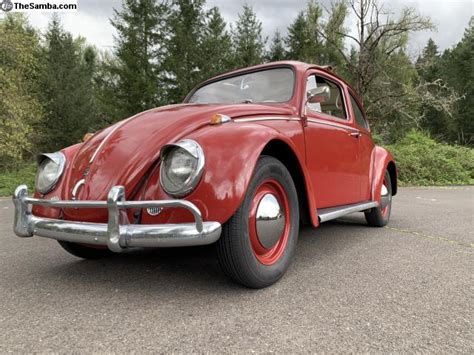 Thesamba Vw Classifieds Vw Bug Rag Top Survivor Driver