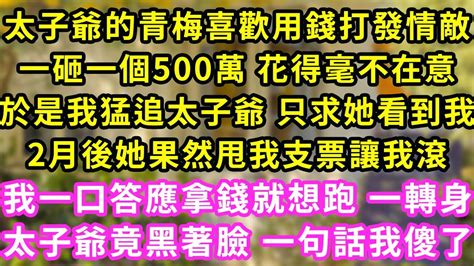 太子爺的青梅喜歡用錢打發情敵，一砸一個500萬 花得毫不在意，於是我猛追太子爺 只求她看到我，2月後她果然甩我支票讓我滾，我一口答應拿錢就想跑