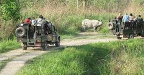 N Tage Chitwan Tourpaket Ab Pokhara Oder Kathmandu Getyourguide