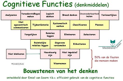 Cognitieve Functies Omgekeerde Pyramide Stibco