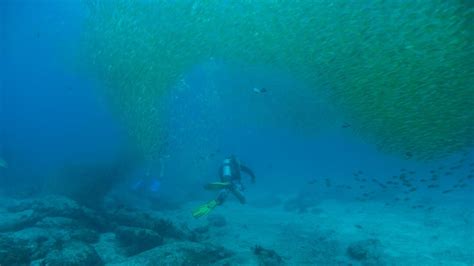 The Best Dive Site In Koh Lipe Stonehenge