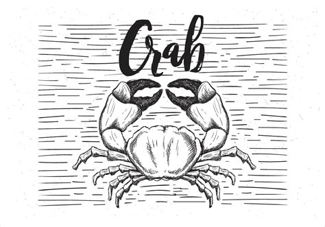 Free Vector Hand Drawn Crab Illustration 152739 Vector Art At Vecteezy