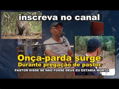 Onça parda surge durante pregação de pastor em monte YouTube