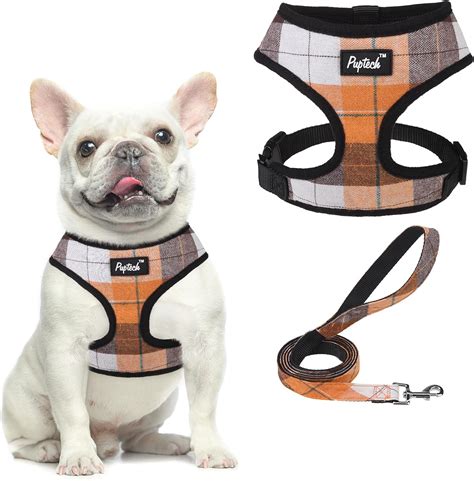 Amazon.com : PUPTECK Soft Mesh Dog Harness and Leash Set Pet Puppy Cat ...