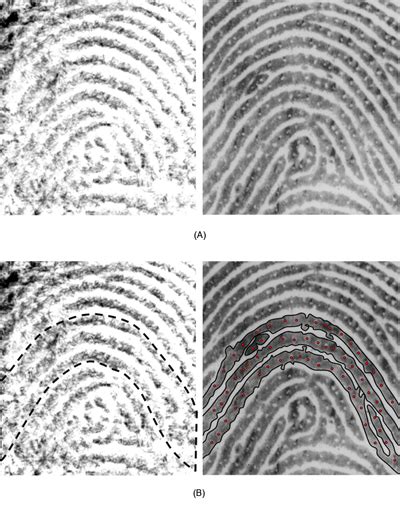 Recognizing DOJ Latent Print Analysts During National Forensic Science