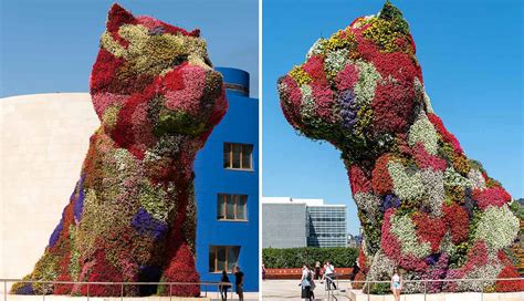 Why Did Jeff Koons Make a Giant Puppy?