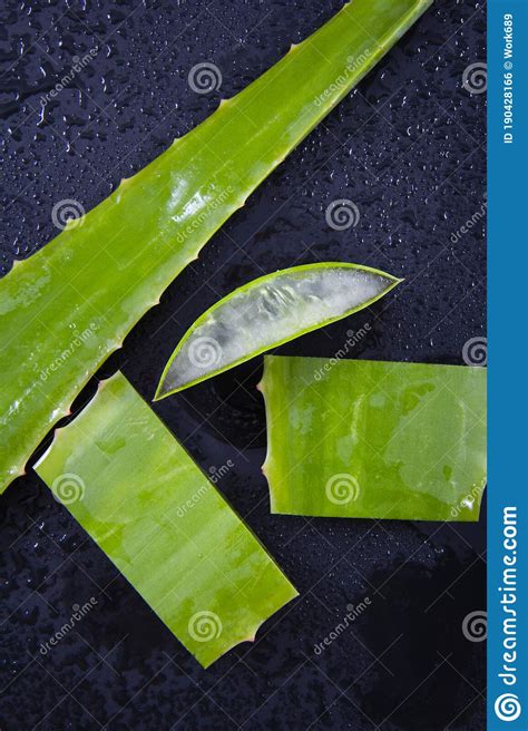 Rodajas De Hojas De Aloe Vera Foto De Archivo Imagen De Rebanadas