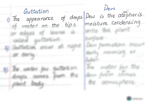 SOLUTION: Difference between guttation and dew - Studypool