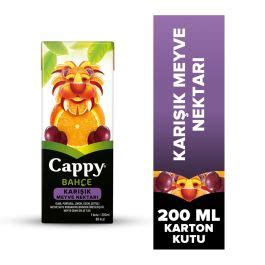 Cappy Bah E Kar K Meyve Nektar Karton Kutu Ml