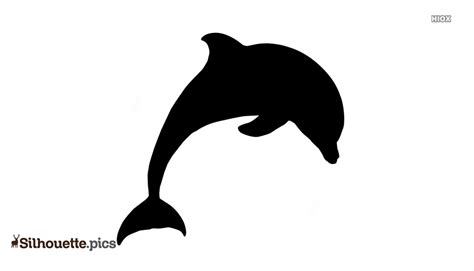 Dolphin Jumping Cliparts Playful And Vibrant Dolphin Illustrations