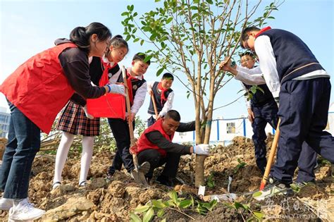 义务植树添新绿图片聚焦安徽文明网