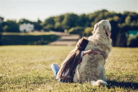 Las 20 Mejores Razas de PERROS para NIÑOS Guía Completa