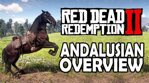 Andalusian Overview | Red Dead Redemption 2 Horses - YouTube