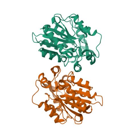 RCSB PDB - 3DQZ: Structure of the hydroxynitrile lyase from Arabidopsis thaliana