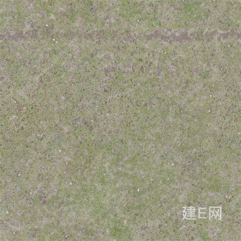 高清无缝泥土草地地面3d贴图下载 Id111955101 建e贴图