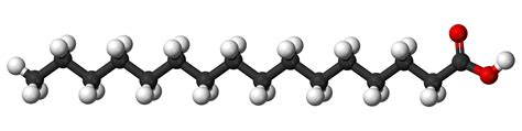 Trans Fat Alternatives | The Science of Nutrition