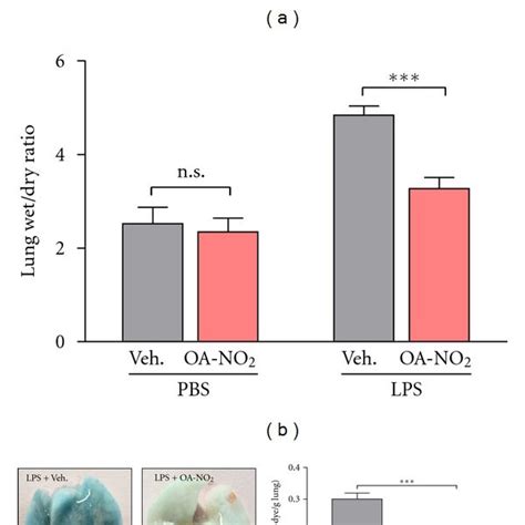 Pulmonary Delivery Of Oa No Reduces Lps Induced Lung Injury Induction