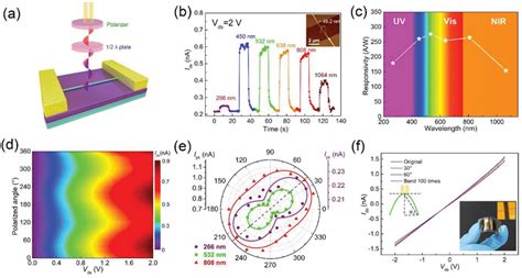 A Schematic Representation Of The Sniisnivs3 Polarization‐sensitive